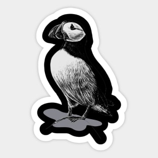 ATLANTIC PUFFIN Sticker